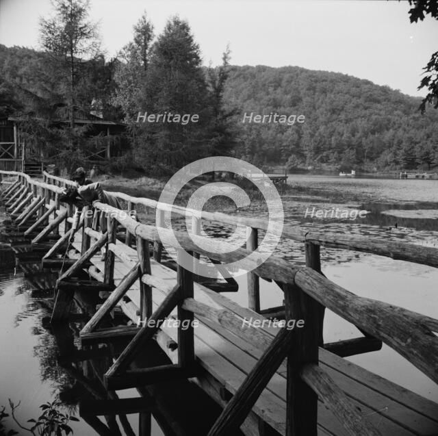 The view from the bridge at Camp Gaylord White and Ellen Marvin, Arden, New York, 1943. Creator: Gordon Parks.