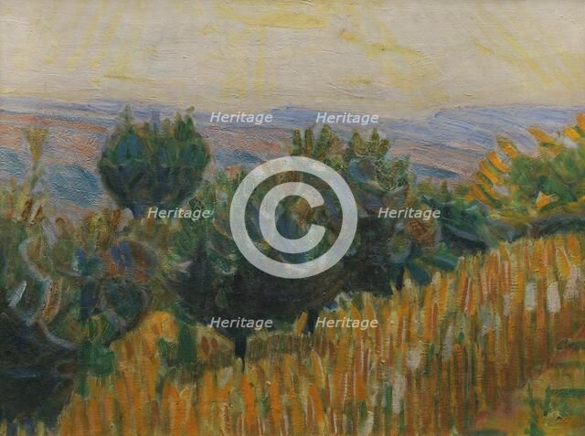 The Vine against the Light. A wheat field in the foreground. Villa Linda, Florence, 1923. Creator: Niels Larsen Stevns.