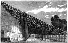 The Vinery at Hampton Court 19th century