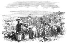 The Vintage, in Medoc, near Bordeaux, 1854. Creator: William Thomas