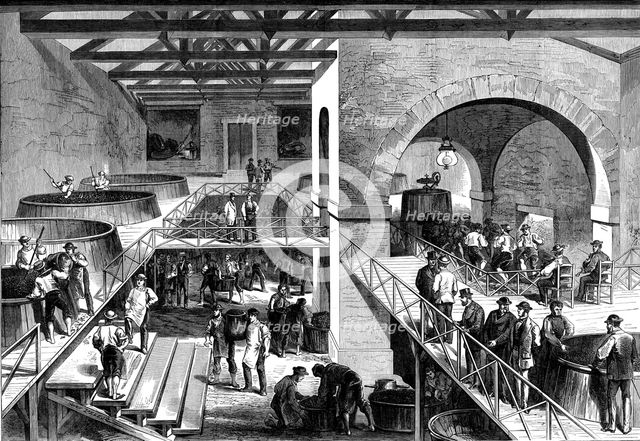 The Vintage of Médoc: cuvier or pressing-house at Chateau d'Estournel, 1871. Creator: Unknown.