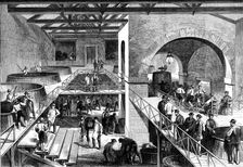 The Vintage of Médoc: cuvier or pressing-house at Chateau d'Estournel, 1871. Creator: Unknown
