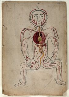 The viscera and the venous system, (between 1800 and 1899?). Creator: Unknown