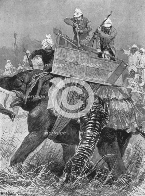 'The Visit of the Prince of Wales to India, 1876: The Prince's Elephant charged by a Tiger', (1901). Creator: Unknown.