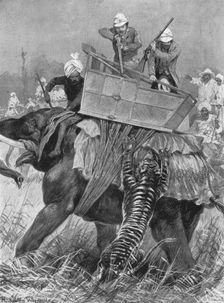 The Visit of the Prince of Wales to India, 1876: The Prince's Elephant charged by a Tiger (1901). Creator: Unknown