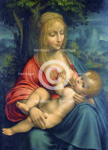 'The Virgin and Child', c1511. Artist: Leonardo da Vinci