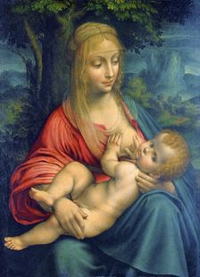 The Virgin and Child c1511. Artist: Leonardo da Vinci