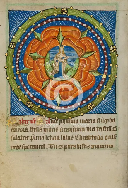 The Virgin and Child in a Red Rose, about 1480-1490. Creator: Unknown.