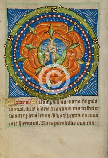 The Virgin and Child in a Red Rose, about 1480-1490. Creator: Unknown.