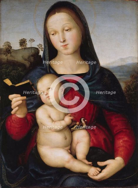The virgin Mary is reading a book (The Solly Madonna), c. 1502-1503.