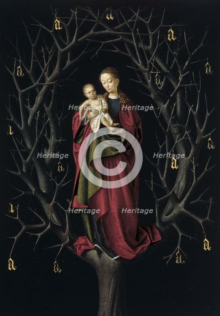 The Virgin of the dry Tree, ca 1465. Artist: Christus, Petrus (1410/20-1475/76)