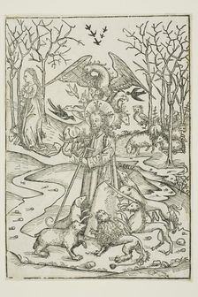 The Virtues of Christ and the Wickedness of His Enemies Symbolized by Diverse Birds..., 1491. Creator: Michael Wolgemut