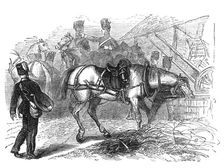 The Volunteer Review: the first halt, at Sutton, Friday morning, 1871. Creator: Unknown