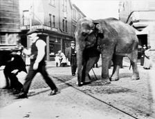 The Wakes, Bulwell, Nottingham, Nottinghamshire, c1900s. Creator: Unknown