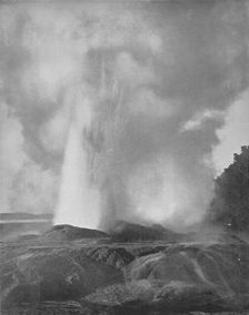 The Waikite Geyser 19th century