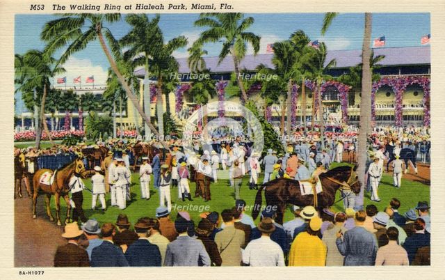 The walking ring at Hialeah Park Racecourse, Miami, Florida, USA, 1938. Artist: Unknown