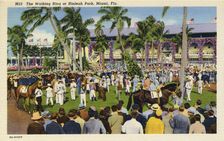 The walking ring at Hialeah Park Racecourse, Miami, Florida, USA, 1938
