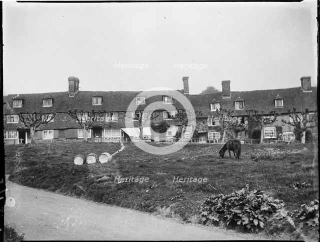 The Walks, Groombridge, Speldhurst, Tunbridge Wells, Kent, 1911. Creator: Katherine Jean Macfee.