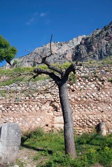 The walls of Delphi, Greece. Creator: Samuel Magal