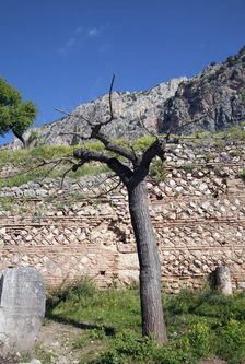 The walls of Delphi, Greece. Artist: Samuel Magal