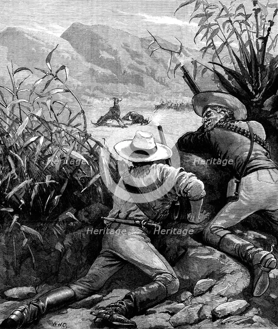 The War in the Transvaal: how the Boers become good marksmen, 1881. Creator: Unknown.