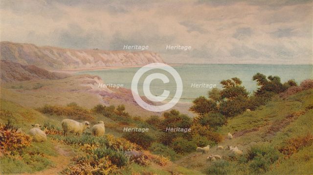 The Warren, Folkestone', c1876, (1938). Artist: Frederick Williamson.