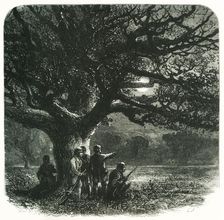 The Watch Oak c1870