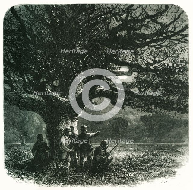 'The Watch Oak', c1870.