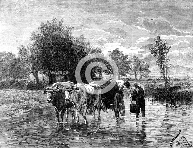 "The Water-Cart" - painted by Troyon - from the London Exhibition of the French School of Fine Arts, Creator: W Thomas.