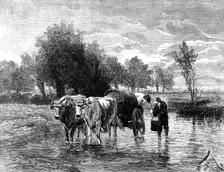 "The Water-Cart" - painted by Troyon - from the London Exhibition of the French School of Fine Arts, Creator: W Thomas