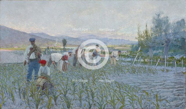 The weeding corn, 1893. Creator: Guinea, Anselmo (1855-1906).