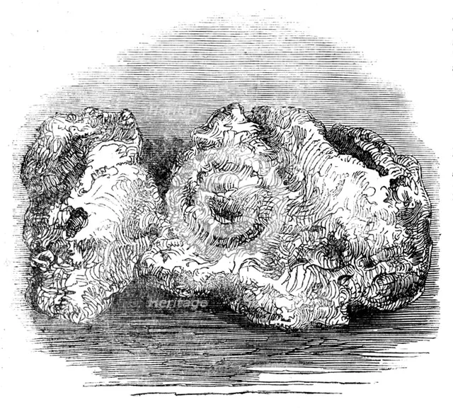 The "Welcome" Nugget, 1858. Creator: Unknown.