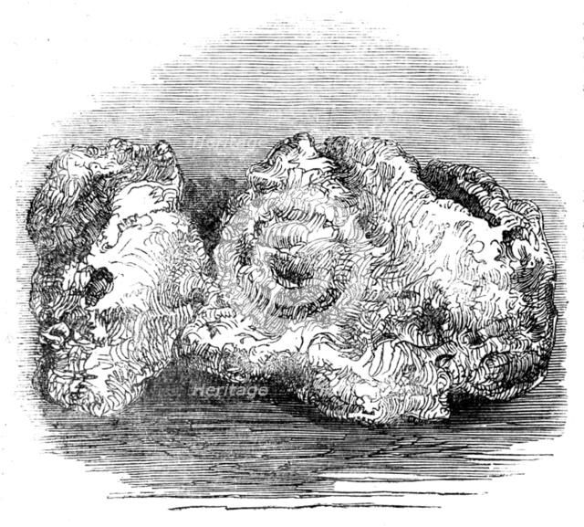 The "Welcome" Nugget, 1858. Creator: Unknown.