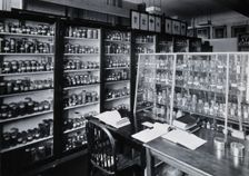 The Wellcome Building, Euston Road, London: working area in the materia medica stores, c1930s.. Creator: Unknown