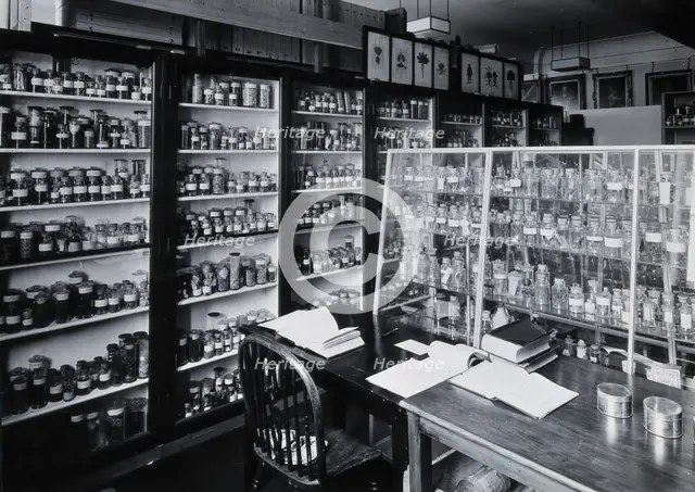 The Wellcome Building, Euston Road, London: working area in the materia medica stores, c1930s.. Creator: Unknown.