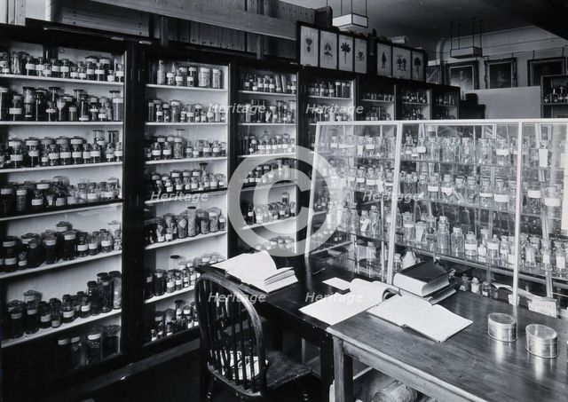 The Wellcome Building, Euston Road, London: working area in the materia medica stores, c1930s.. Creator: Unknown.