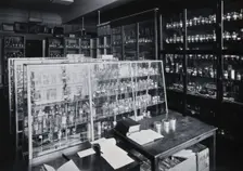 The Wellcome Building, Euston Road, London: working area in the materia medica stores, c1910s. Creator: Unknown