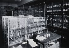 The Wellcome Building, Euston Road, London: working area in the materia medica stores, c1910s. Creator: Unknown