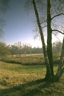 The West Meadow, Kenwood House, Hampstead, London, 1997. Artist: N Corrie