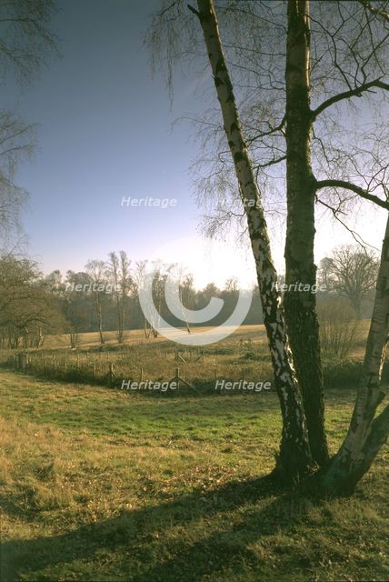 The West Meadow, Kenwood House, Hampstead, London, 1997. Artist: N Corrie