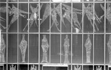 The West Window, Coventry Cathedral, Coventry, West Midlands, 1962-1980. Artist: Eric de Maré