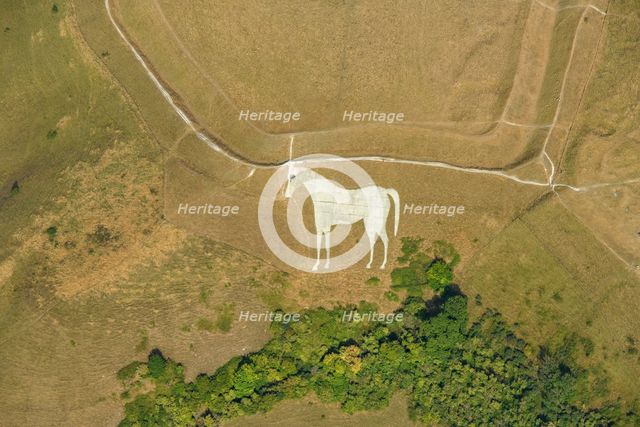 The Westbury White Horse, a chalk hill figure on Bratton Castle hillfort, Westbury, Wiltshire, 2022. Creator: Damian Grady.