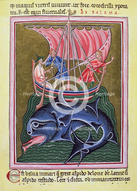 The whale, a miniature in an English Bestiary.