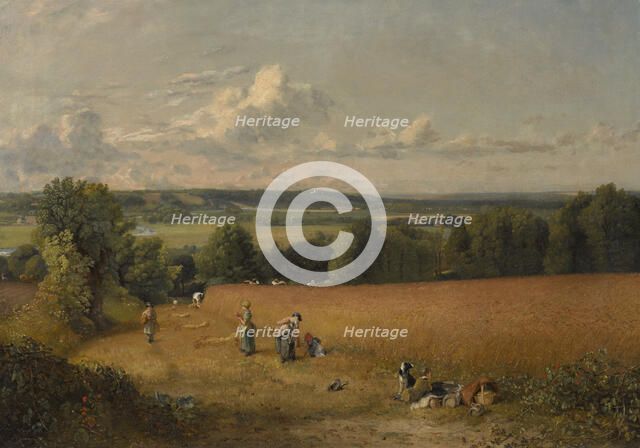 The Wheat Field, 1816. Creator: John Constable.