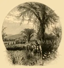 The White Mountains, from the Conway Meadows 1872. Creator: Harry Fenn
