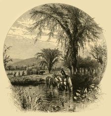 The White Mountains, from the Conway Meadows 1872. Creator: Harry Fenn