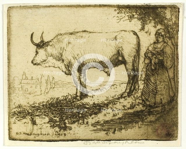The White Ox, 1905. Creator: Donald Shaw MacLaughlan.