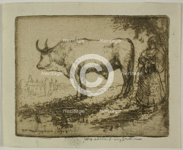 The White Ox, 1905. Creator: Donald Shaw MacLaughlan.