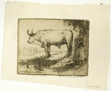 The White Ox, 1905. Creator: Donald Shaw MacLaughlan