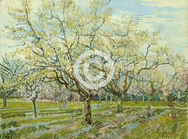 The white orchard, 1888. Artist: Gogh, Vincent, van (1853-1890)